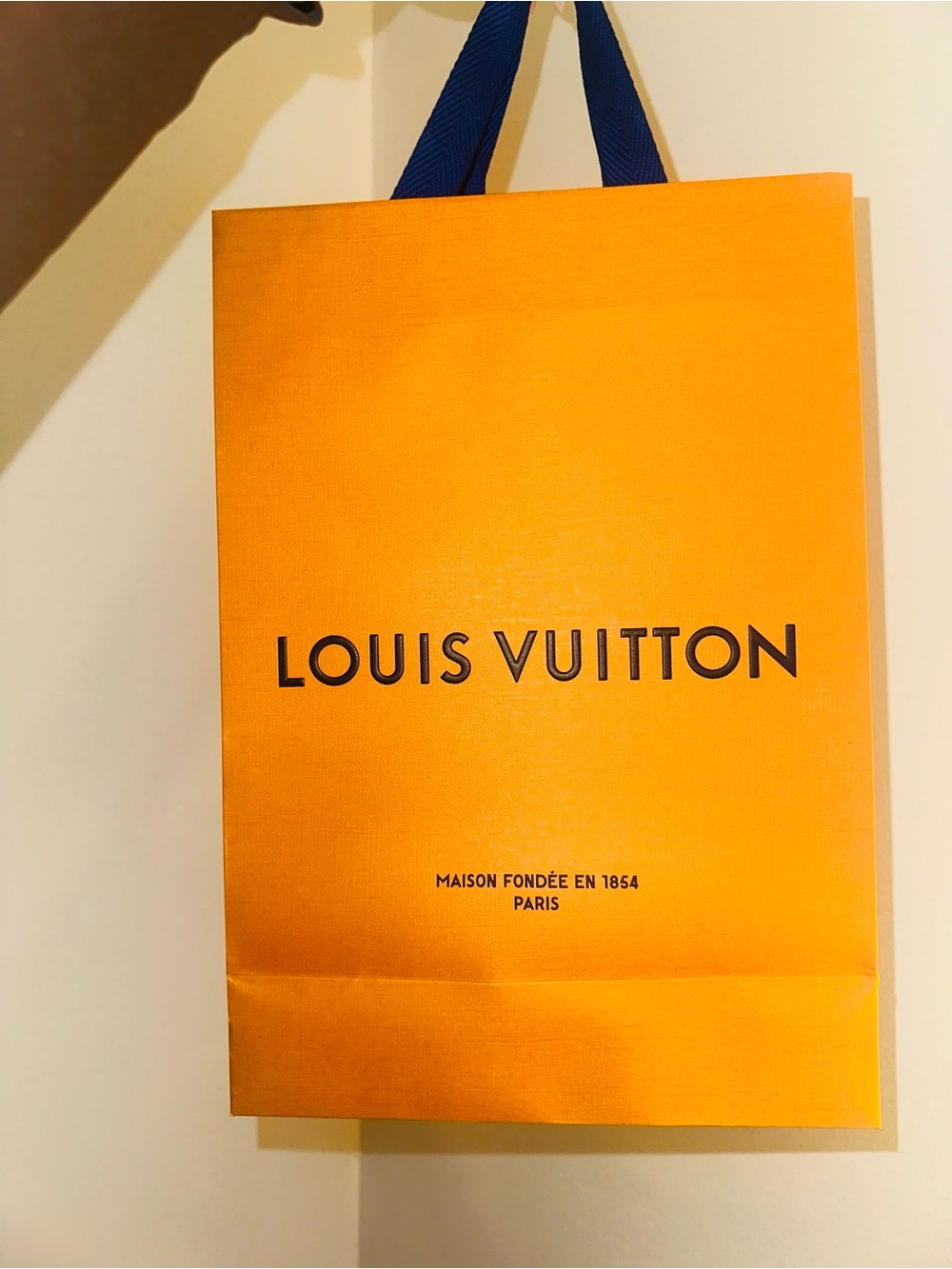 Louis Vuitton Orange and Blue Logo Gift Bag